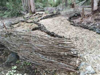 Know Your DIY Limits: Safety on the Homestead Image